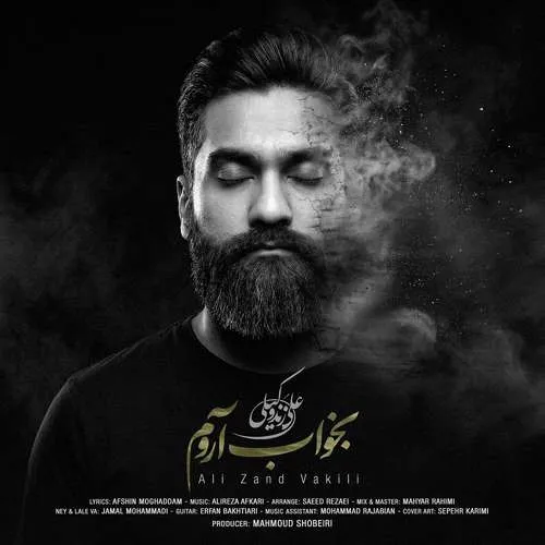 دانلود آهنگ بخواب آروم از علی زندوکیلی